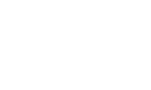 Welly